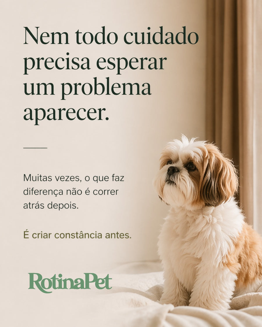 Post RotinaPet no Instagram