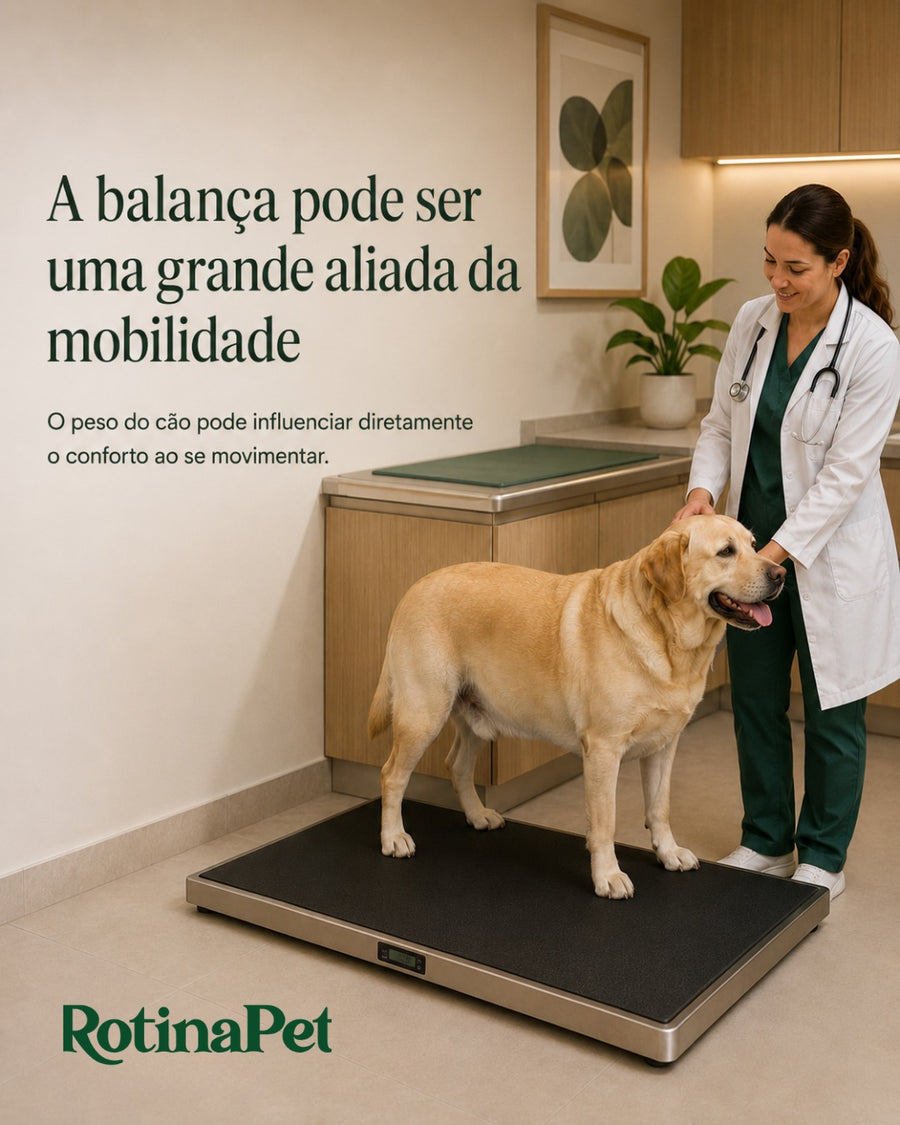 Post RotinaPet no Instagram