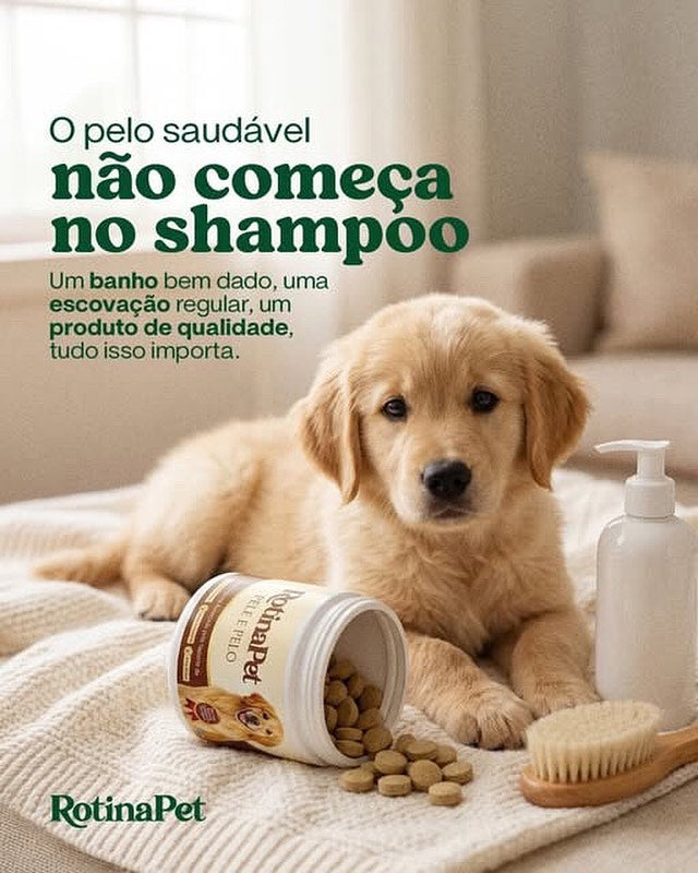 Post RotinaPet no Instagram
